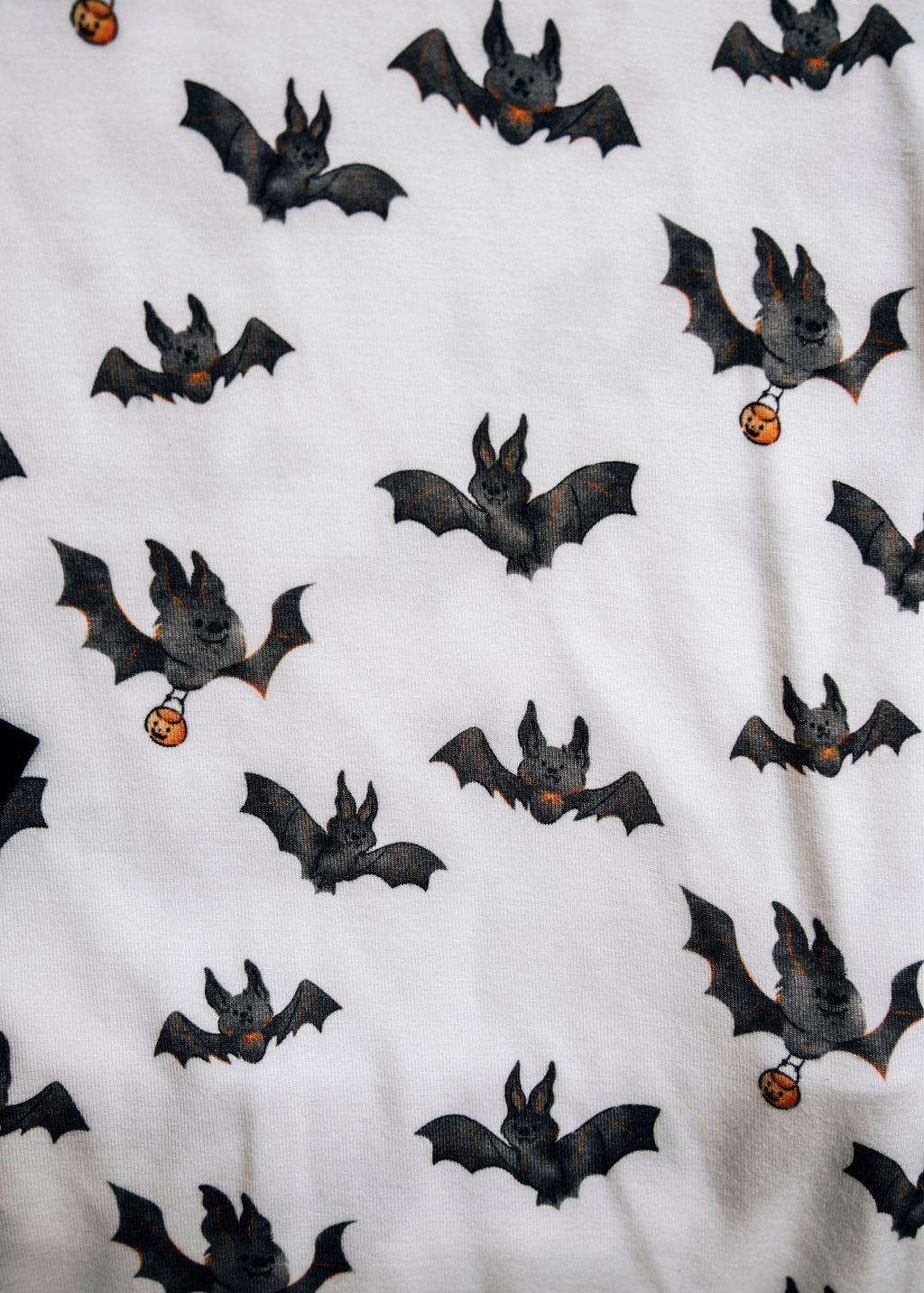 Bats