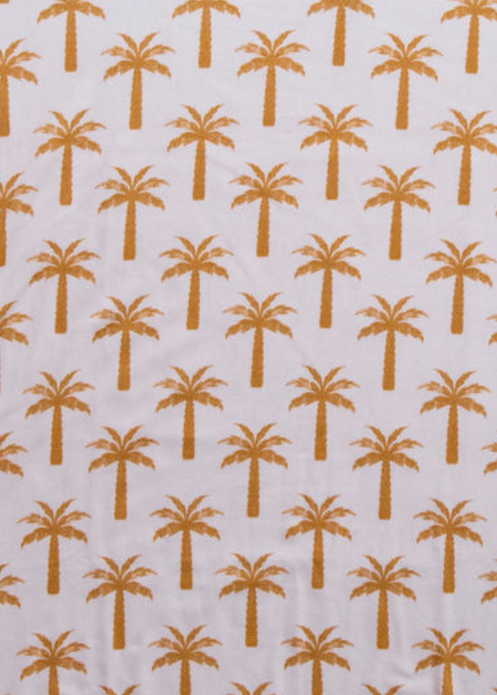 Palm
