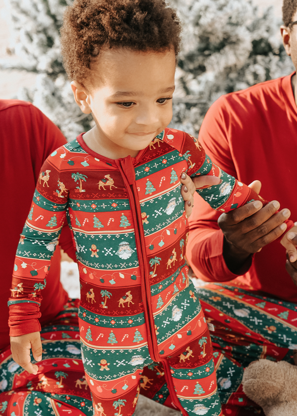 Zippie in Santa in the Sand